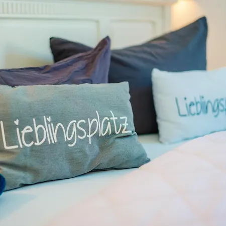 Schwalbennest St. Andreasberg Appartement
