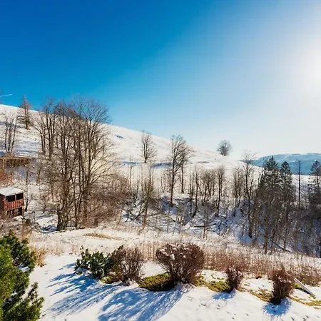 Apartament Schwalbennest St. Andreasberg